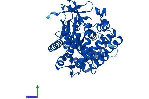 AlphaFold protein structure predicition of Human Recombinant SMYD3 Protein, UniprotID Q9H7B4