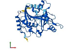AlphaFold protein structure predicition of Human Recombinant PNP Protein, UniprotID P00491