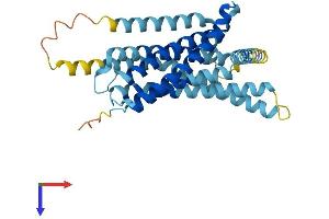AlphaFold protein structure predicition of Human Recombinant TAS2R38 Protein, UniprotID P59533