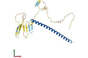 AlphaFold protein structure predicition of Mouse Recombinant Atf1 Protein, UniprotID P81269