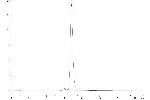 The purity of Human APOA1 is greater than 95 % as determined by SEC-HPLC. (APOA1 Protein (AA 25-267) (Fc Tag))