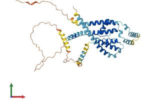 AlphaFold protein structure predicition of Mouse Recombinant Kcnk18 Protein, UniprotID Q6VV64