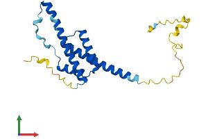 AlphaFold protein structure predicition of Mouse Recombinant Rd3 Protein, UniprotID Q8BRE0
