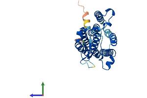 AlphaFold protein structure predicition of Mouse Recombinant Acer1 Protein, UniprotID Q8R4X1