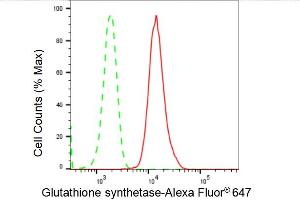 Flow cytometric analysis of Glutathione synthetase expression in HepG2 cells using Glutathione synthetase antibody (ABIN7798760), 1:2,000). (Recombinant Glutathione Synthetase anticorps)