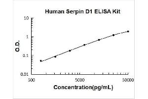 Typical Standard Curve