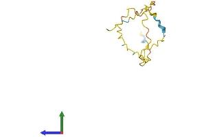 AlphaFold protein structure predicition of Human Recombinant ARMS2 Protein, UniprotID P0C7Q2