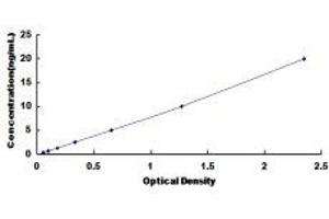 Typical Standard Curve (Ezrin Kit ELISA)