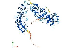 AlphaFold protein structure predicition of Mouse Recombinant Rnasel Protein, UniprotID Q05921