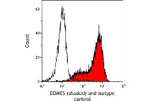Flow Cytometry (FACS) image for anti-Eomesodermin (EOMES) (AA 125-175) antibody (ABIN7455149)