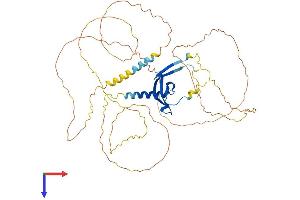 AlphaFold protein structure predicition of Mouse Recombinant Cbx2 Protein, UniprotID P30658