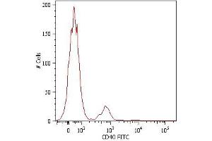 Surface staining of human peripheral blood cells with anti-human CD40 (HI40a) FITC. (CD40 anticorps  (PE))