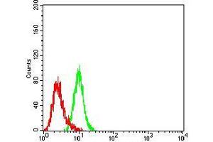 Flow cytometric analysis of K562 cells using CD147 mouse mAb (green) and negative control (red).