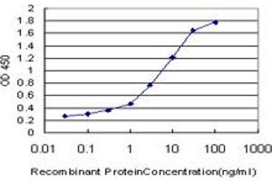 Detection limit for recombinant GST tagged NOLC1 is approximately 0. (NOLC1 anticorps  (AA 590-699))