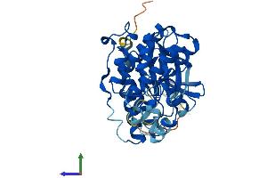AlphaFold protein structure predicition of Mouse Recombinant Mapk11 Protein, UniprotID Q9WUI1
