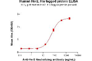 ELISA plate pre-coated by 1 μg/mL (100 μL/well) Human Her2,His tagged protein  (ABIN6964074, ABIN7042403 and ABIN7042404) can bind Anti-Her2 Neutralizing antibody ABIN7093066 and ABIN7272596 in a linear range of 3.