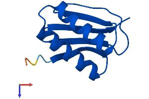 AlphaFold protein structure predicition of Mouse Recombinant Dynll1 Protein, UniprotID P63168