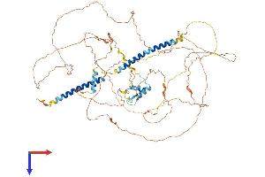 AlphaFold protein structure predicition of Mouse Recombinant Dact2 Protein, UniprotID Q7TN08