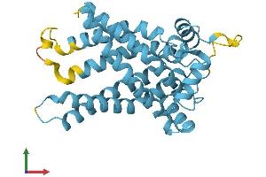 AlphaFold protein structure predicition of Human Recombinant SLC25A45 Protein, UniprotID Q8N413