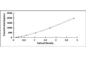 Typical standard curve (FGG Kit ELISA)