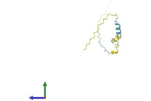 AlphaFold protein structure predicition of Mouse Recombinant Pkib Protein, UniprotID Q04758