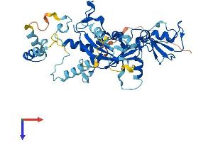 AlphaFold protein structure predicition of Human Recombinant SNAPC3 Protein, UniprotID Q92966
