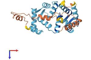 AlphaFold protein structure predicition of Human Recombinant KCNIP4 Protein, UniprotID Q6PIL6