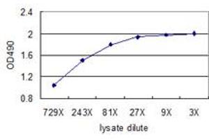 ANXA3 (Human) Matched Antibody Pair