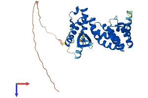 AlphaFold protein structure predicition of Mouse Recombinant Snx20 Protein, UniprotID Q9D2Y5