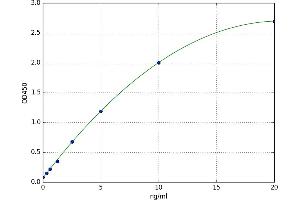 Dipeptidylpeptidase 10 (DPP10) ELISA Kit