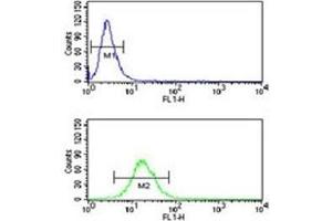 NEDD4 antibody flow cytometric analysis of NCI-H460 cells (green) compared to a negative control (blue).