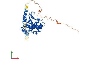 AlphaFold protein structure predicition of Human Recombinant ATP23 Protein, UniprotID Q9Y6H3