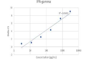 ELISA image for Interferon gamma (IFNG) IQ-ELISA Kit (ABIN5680028) (Interferon gamma Kit IQ-ELISA)