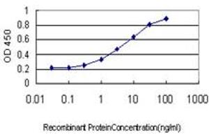 Detection limit for recombinant GST tagged FOXA2 is approximately 0. (FOXA2 anticorps  (AA 363-457))