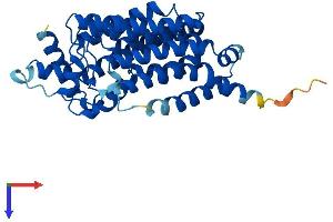 AlphaFold protein structure predicition of Human Recombinant G6PC3 Protein, UniprotID Q9BUM1