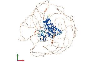 AlphaFold protein structure predicition of Human Recombinant HIPK1 Protein, UniprotID Q86Z02