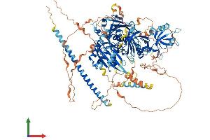 AlphaFold protein structure predicition of Mouse Recombinant Sipa1 Protein, UniprotID P46062