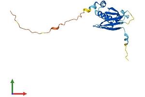 AlphaFold protein structure predicition of Mouse Recombinant Tsen15 Protein, UniprotID Q8R3W5