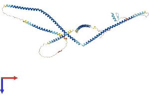 AlphaFold protein structure predicition of Human Recombinant OPTN Protein, UniprotID Q96CV9