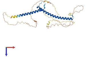 AlphaFold protein structure predicition of Mouse Recombinant Tfec Protein, UniprotID Q9WTW4