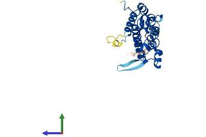 AlphaFold protein structure predicition of Mouse Recombinant Pacrg Protein, UniprotID Q9DAK2