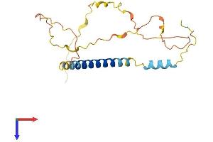 AlphaFold protein structure predicition of Mouse Recombinant Bbc3 Protein, UniprotID Q99ML1