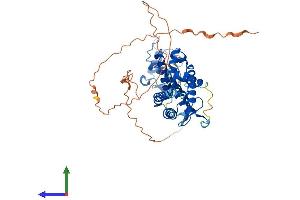 AlphaFold protein structure predicition of Mouse Recombinant Hnf4a Protein, UniprotID P49698