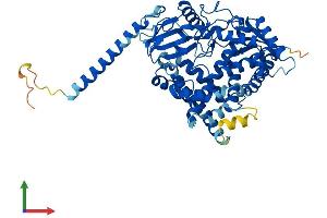 AlphaFold protein structure predicition of Human Recombinant CYP4F12 Protein, UniprotID Q9HCS2