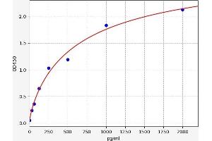 Typical standard curve (BTB Domain a and CNC Homolog 2 Kit ELISA)