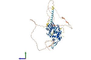 AlphaFold protein structure predicition of Human Recombinant EME1 Protein, UniprotID Q96AY2