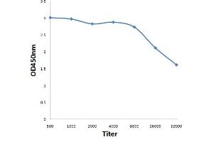 Antigen: 0. (BASP1 anticorps  (AA 3-100))