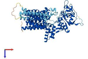 AlphaFold protein structure predicition of Mouse Recombinant Stt3a Protein, UniprotID P46978