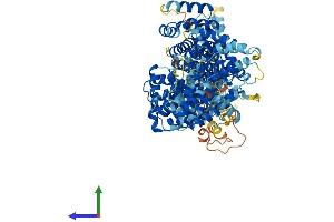 AlphaFold protein structure predicition of Mouse Recombinant Med24 Protein, UniprotID Q99K74