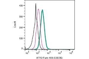 Cell surface detection of 5-Hydroxytryptamine receptor 2B by direct flow cytometry in live intact human  monocytic leukemia cell line: + Rabbit IgG Isotype Control-ATTO Fluro-488 (ABIN7582041). (Serotonin Receptor 2B anticorps  (Extracellular) (Atto 488))
